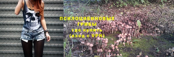 крисы Навашино