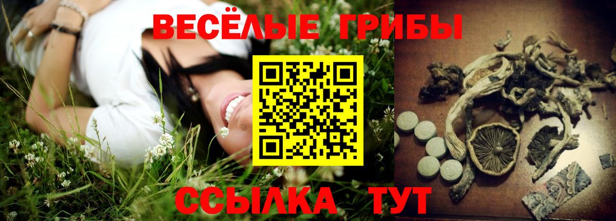 закладки  Псилоцибиновые грибы Psilocybe  Нефтеюганск  Вход с VPN  Псилоцибиновые грибы мухоморы 